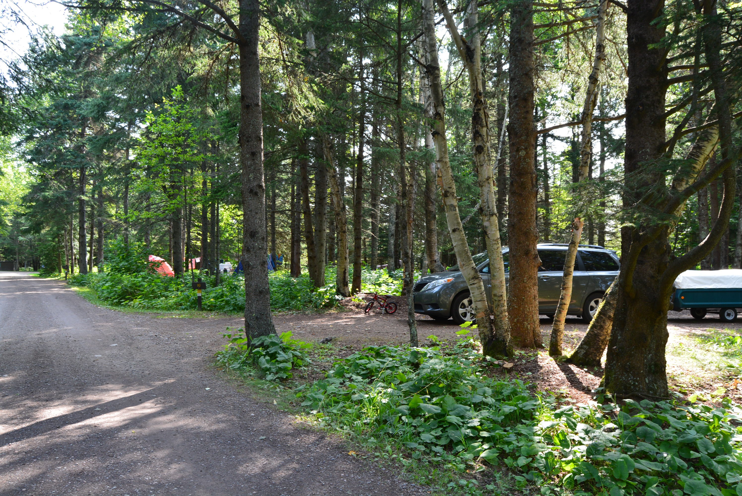Camper submitted image from Judge C. R. Magney State Park Campground - 4