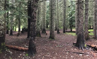 Camping near Still Creek: Devils Half Acre Campground, Government Camp, Oregon
