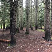 Review photo of Devils Half Acre Campground by Charyl B., June 16, 2020