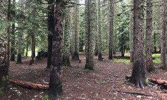 Camping near Barlow Crossing: Devils Half Acre Campground, Government Camp, Oregon