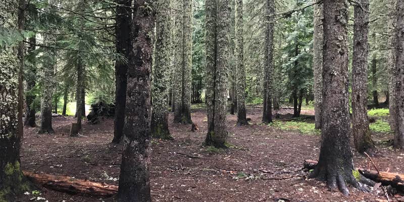 Camper submitted image from Devils Half Acre Campground