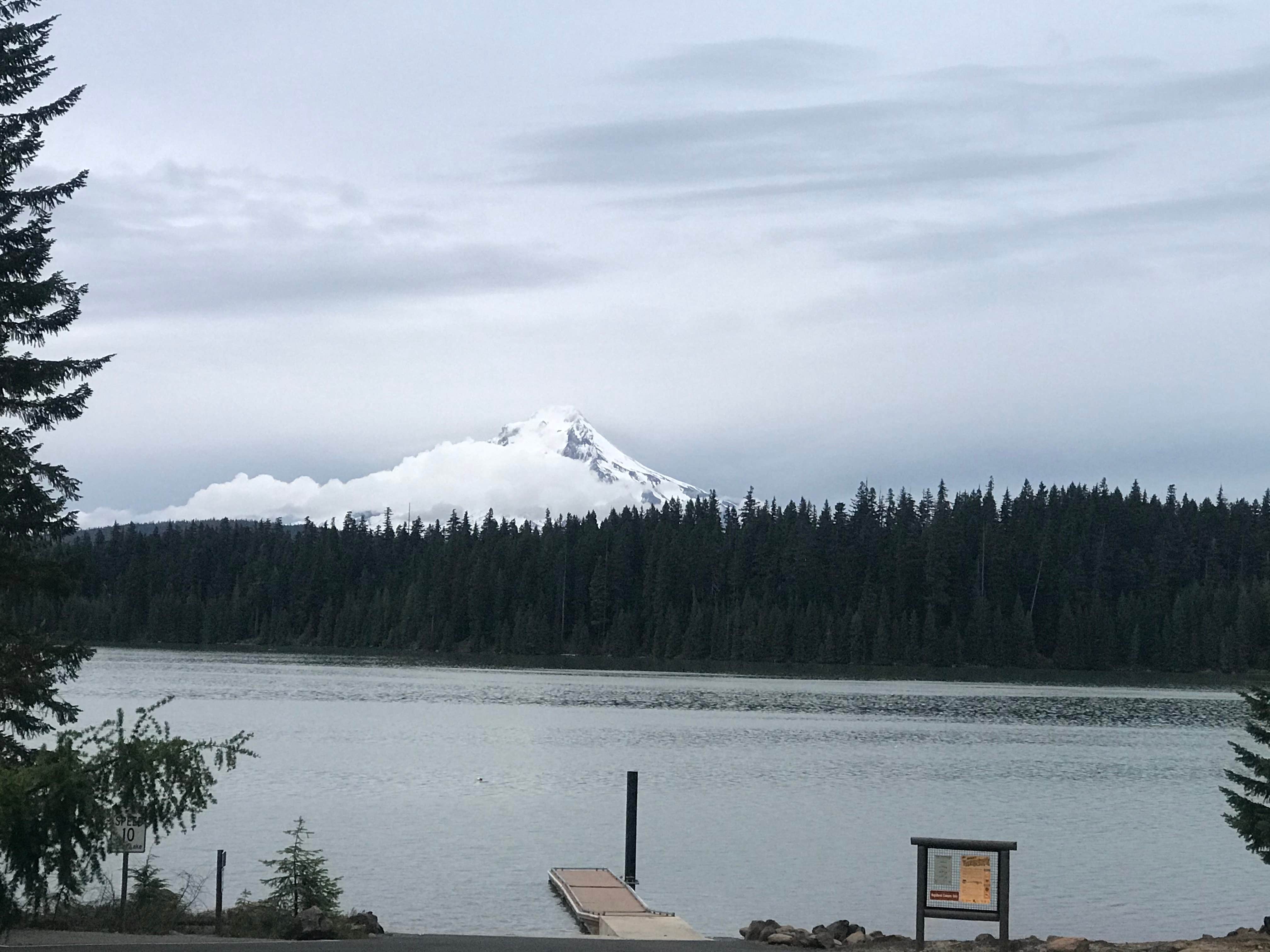 Camper submitted image from Gone Creek - 2