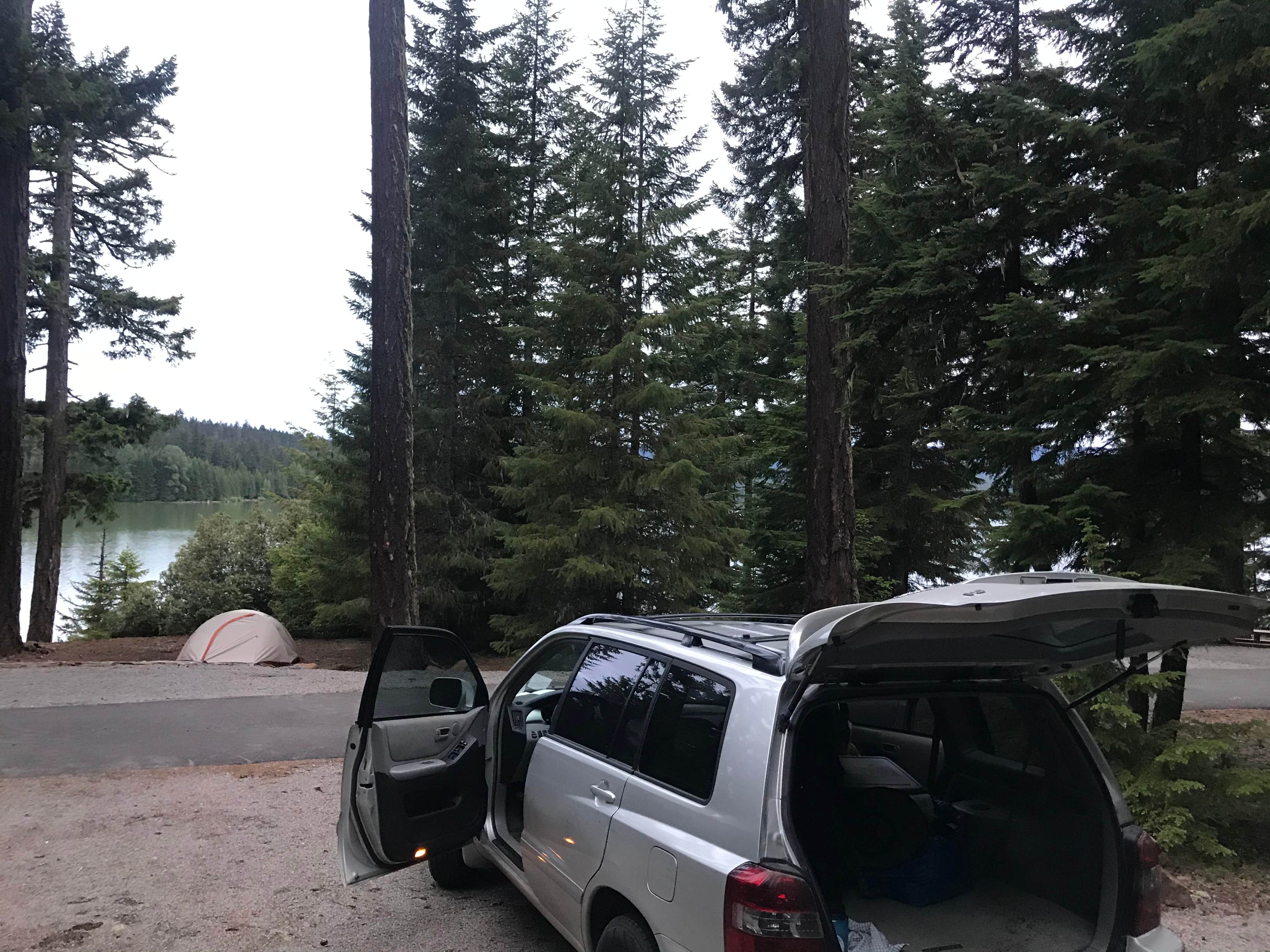 Camper submitted image from Gone Creek - 3