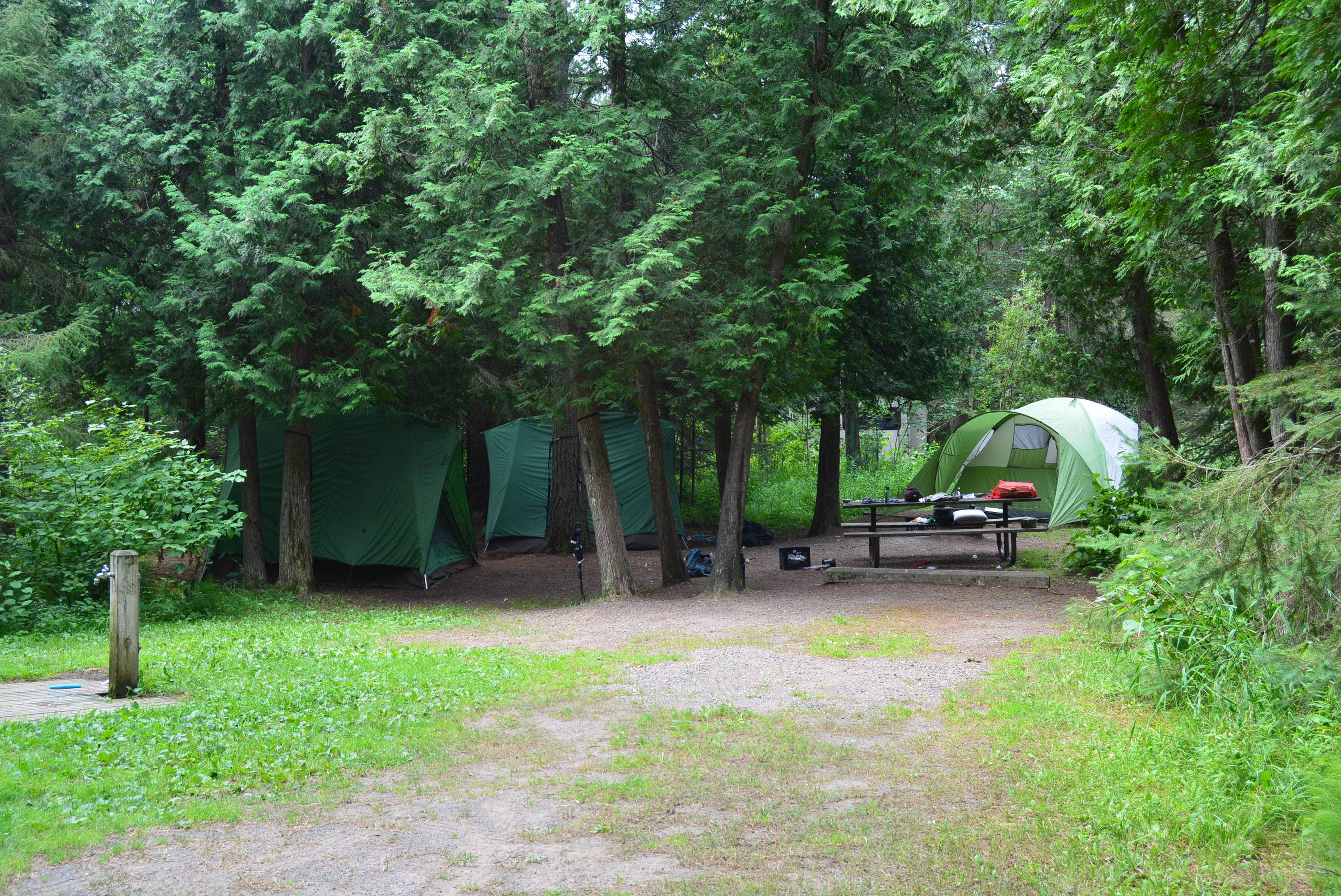 Nancy W.'s photo at Jay Cooke State Park Campground near Holyoke, MN