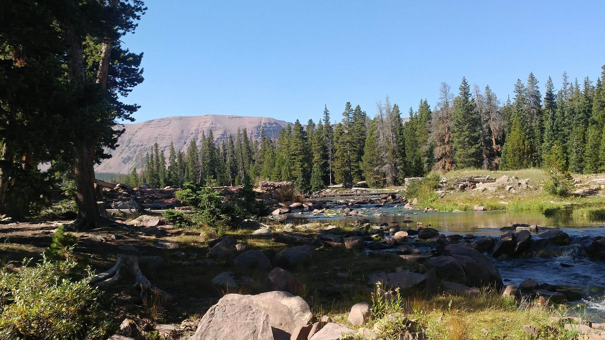 Camper submitted image from Spirit Lake - 3