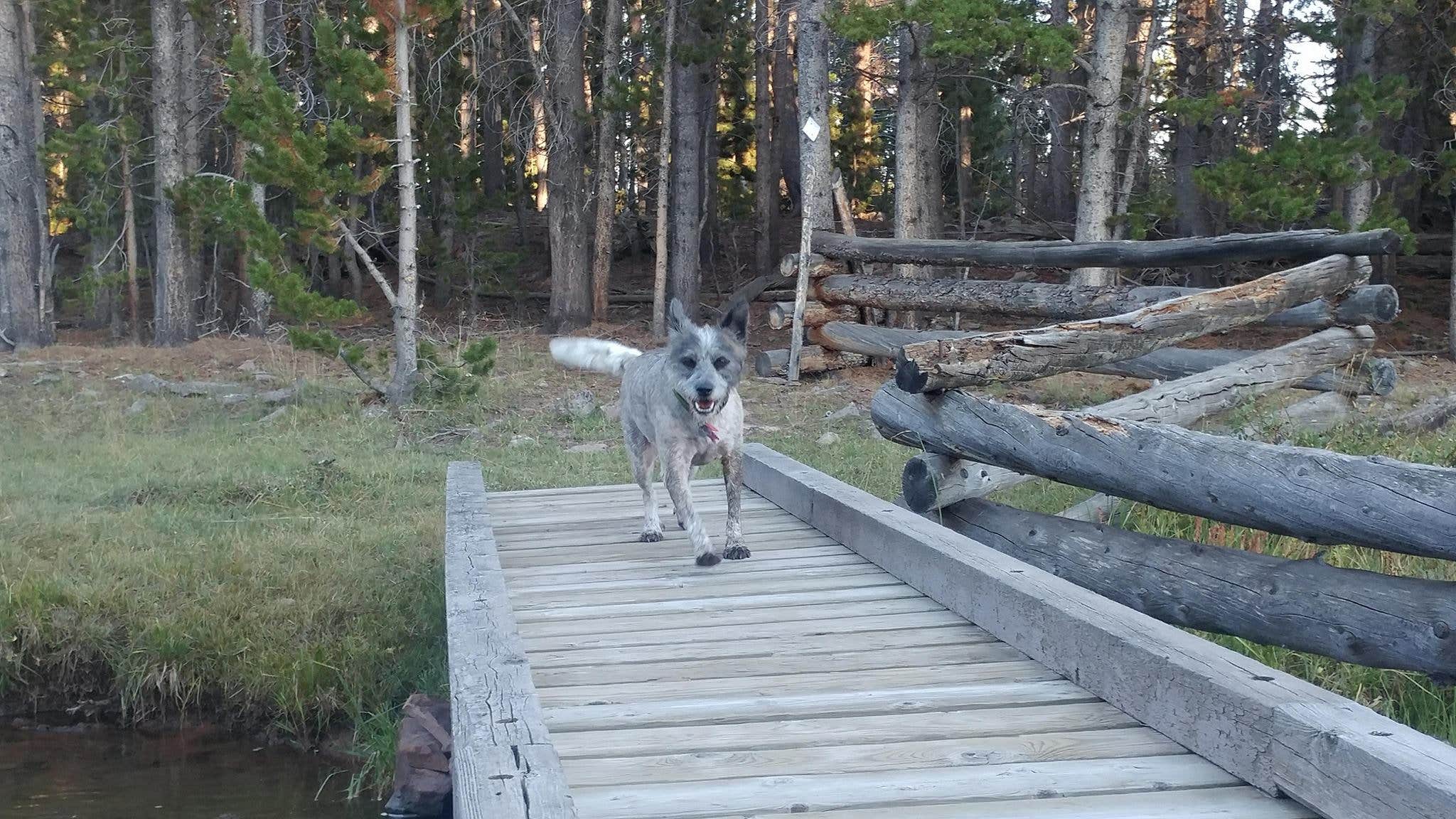 Camper submitted image from Spirit Lake - 4