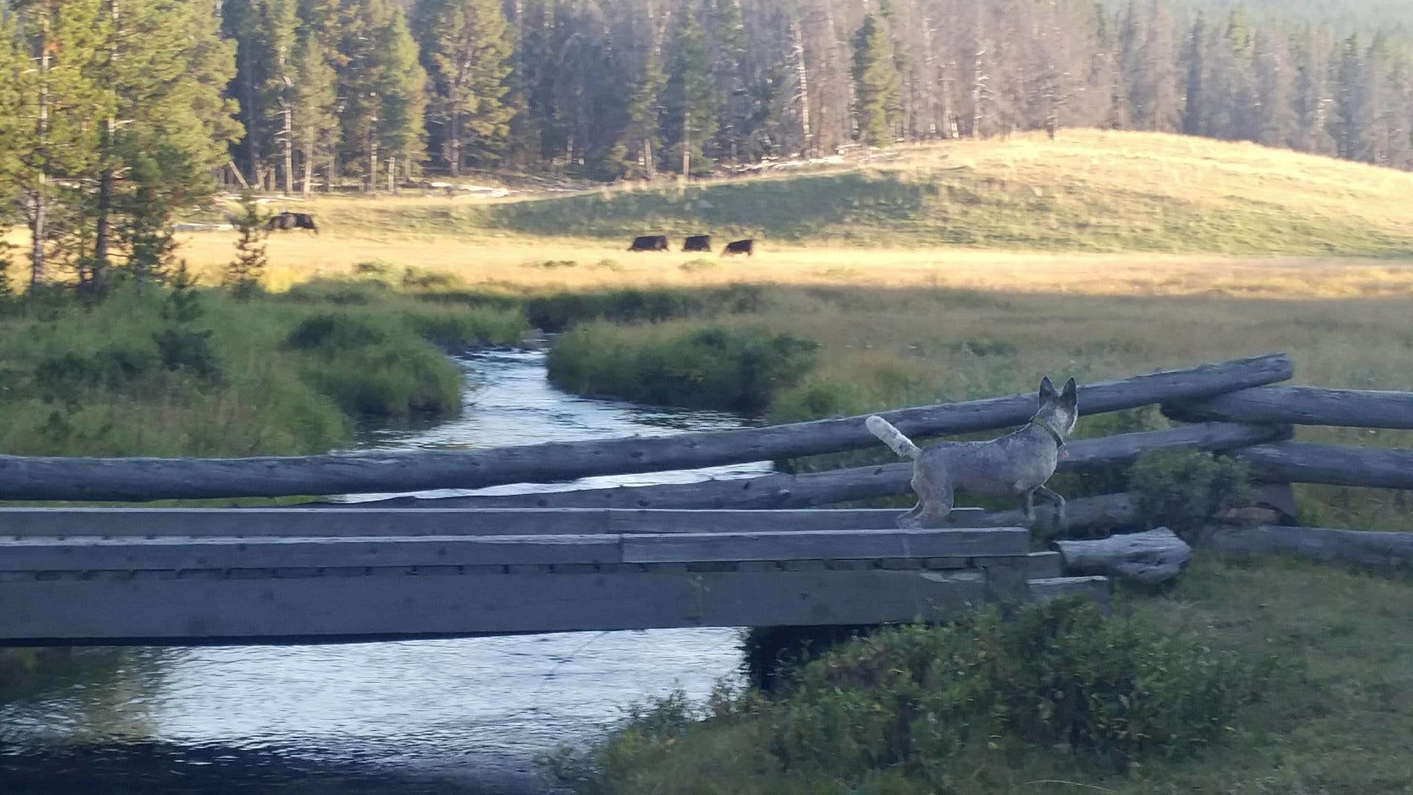Camper-submitted photo at Spirit Lake near Manila, UT