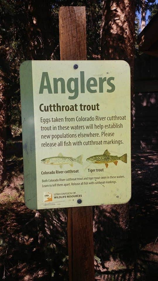 Camper-submitted photo at Spirit Lake near Manila, UT