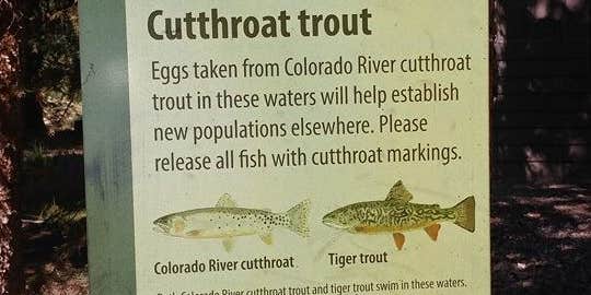 Camper submitted image from Spirit Lake