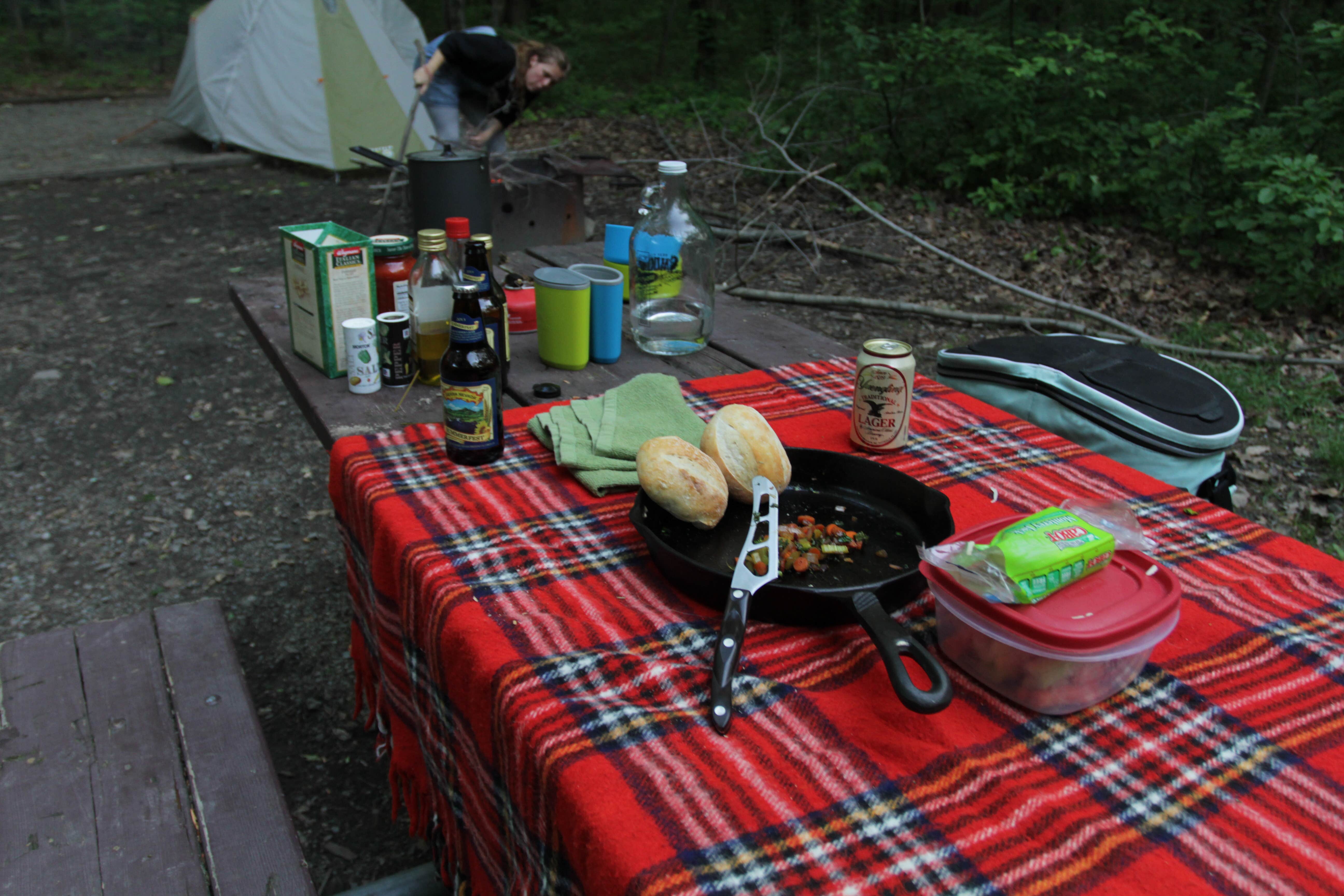 Gavin T.'s photo at Blueberry Patch Campground — Green Mountain & Finger Lakes National Forests near Ithaca, NY