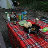 Review photo of Blueberry Patch Campground — Green Mountain & Finger Lakes National Forests by Gavin T., October 23, 2017