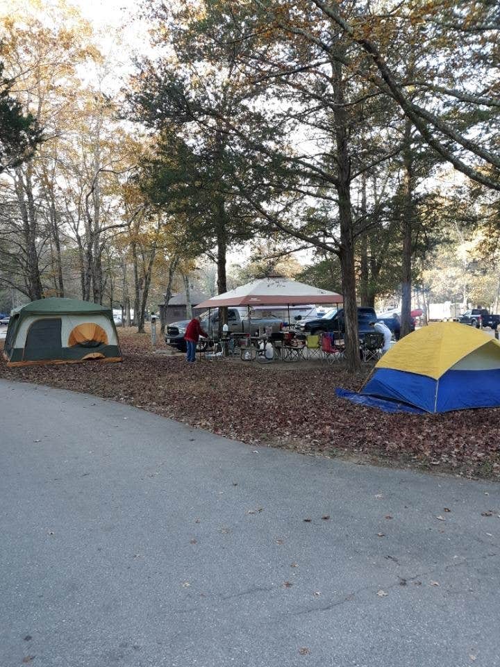 Camper-submitted photo at Sam A. Baker State Park Campground near Poplar Bluff, MO