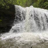 Review photo of Holly River State Park Campground by Zondra W., June 16, 2020