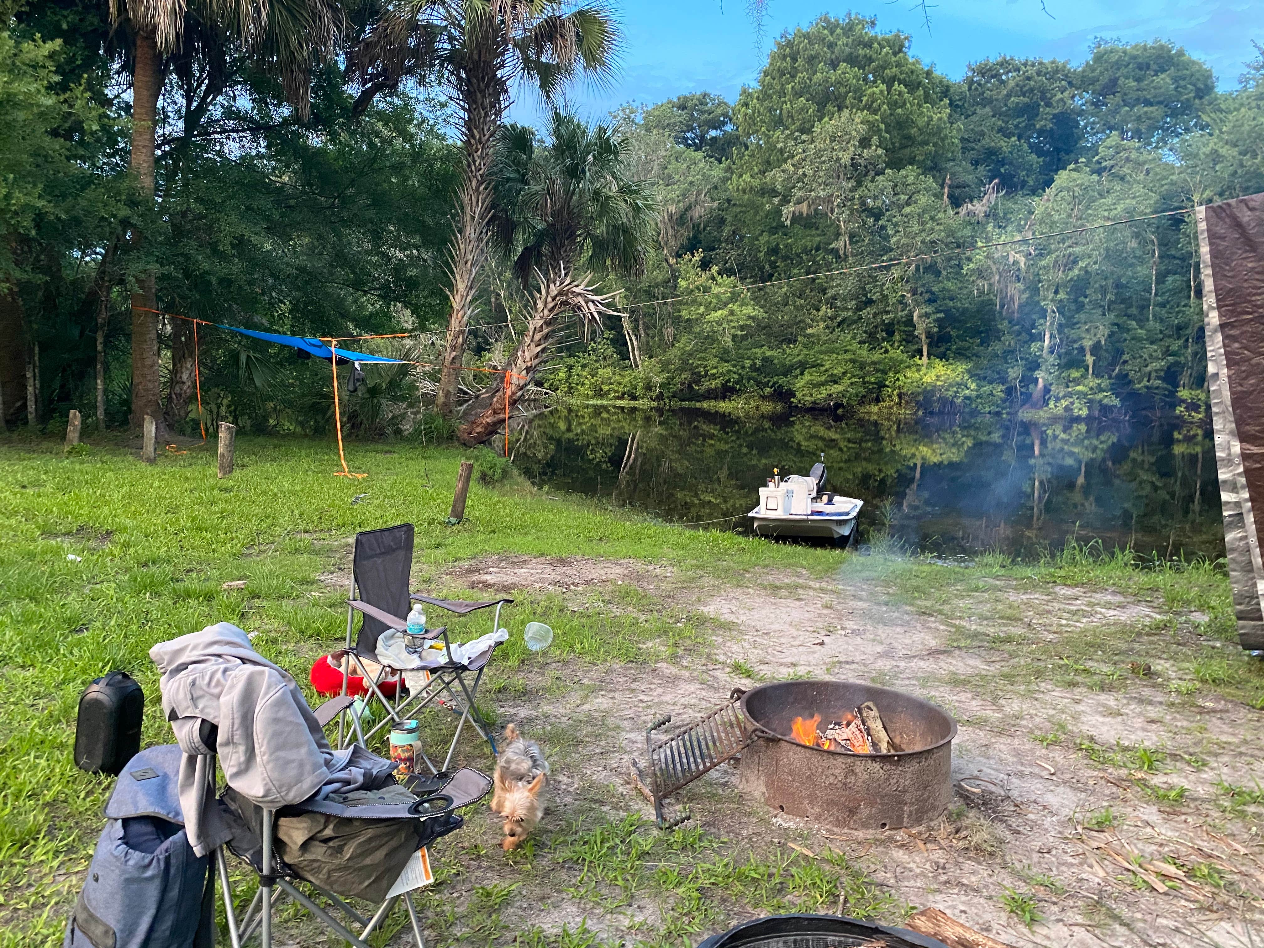 Camper-submitted photo at Potts Preserve - River Primitive Campground (North Hooty Point Road) near Inverness, FL