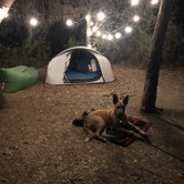 Review photo of Pinnacles National Park Pinnacles Campground by Sujana M., June 16, 2020