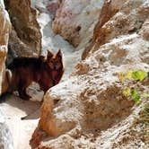 Review photo of Providence Canyon State Park Campground by Joel R., June 10, 2020