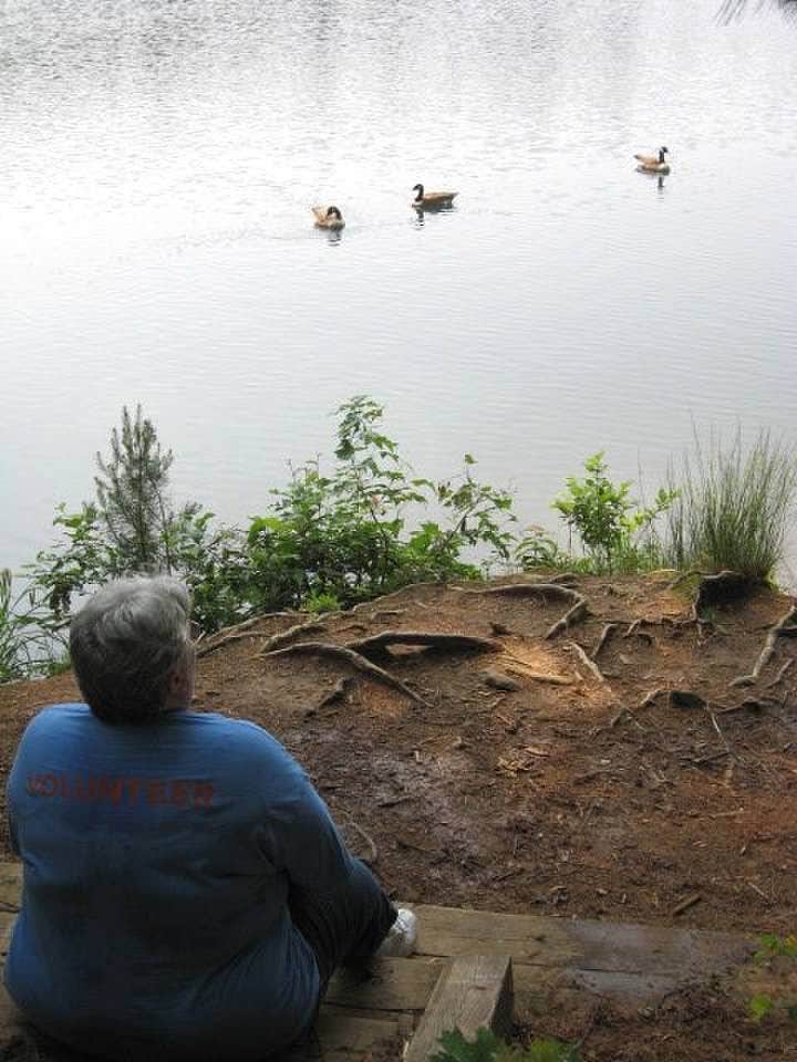 Camper-submitted photo at Unicoi State Park & Lodge near Toccoa, GA