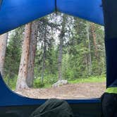 Review photo of Campbell Creek Campground — Medicine Bow Routt N Fs & Thunder Basin Ng by Nicholas G., June 16, 2020