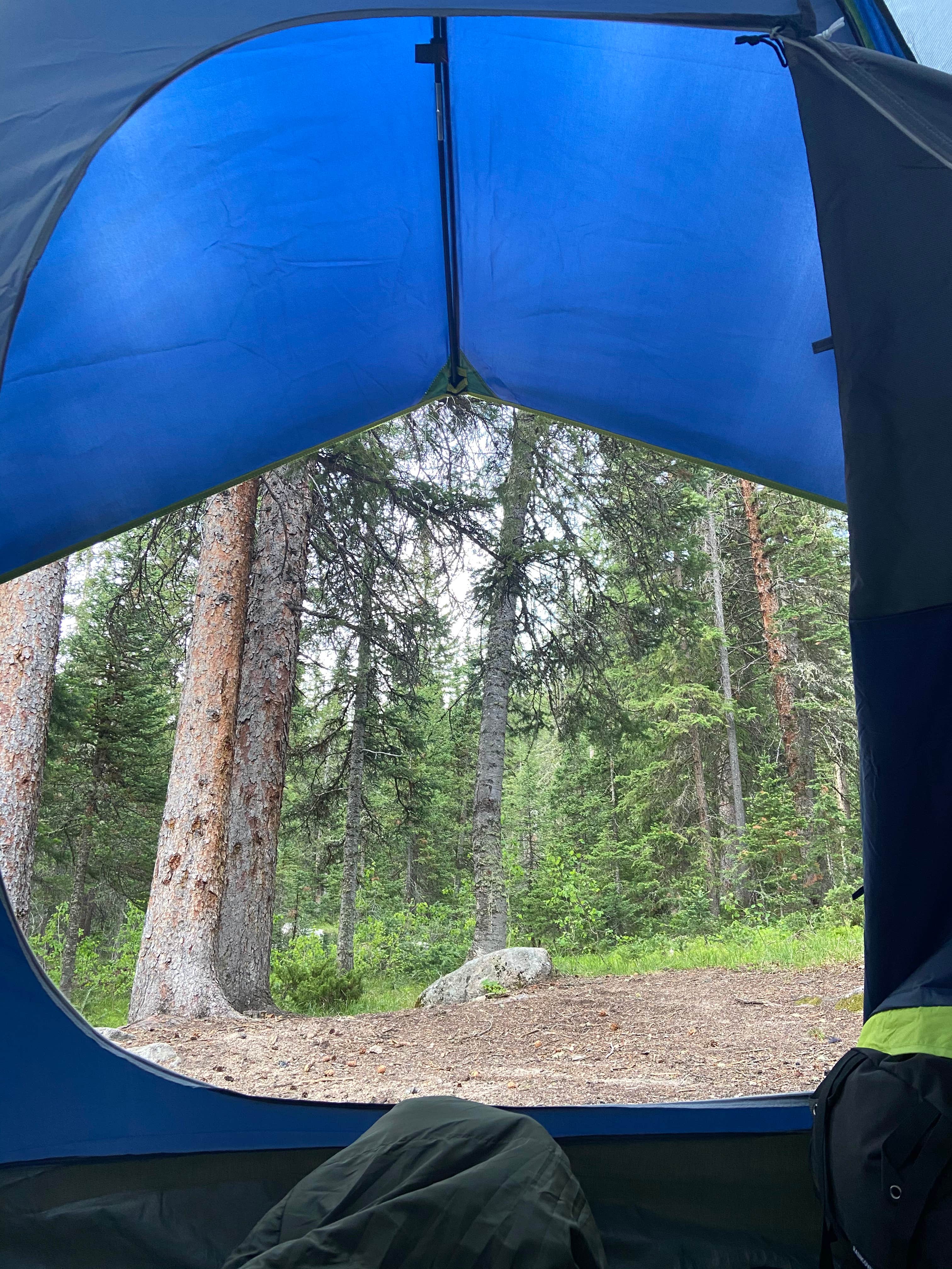 Camper submitted image from Campbell Creek Campground — Medicine Bow Routt N Fs & Thunder Basin Ng - 5