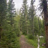 Review photo of Campbell Creek Campground — Medicine Bow Routt N Fs & Thunder Basin Ng by Nicholas G., June 16, 2020