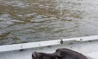 Kristina G.'s photo of camping with pets at Pelton Park Campground near Madras, OR