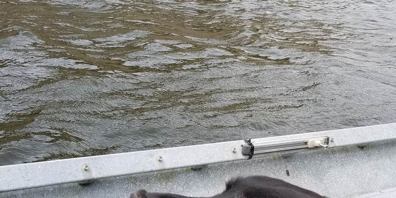 Camper submitted image from Pelton Park Campground