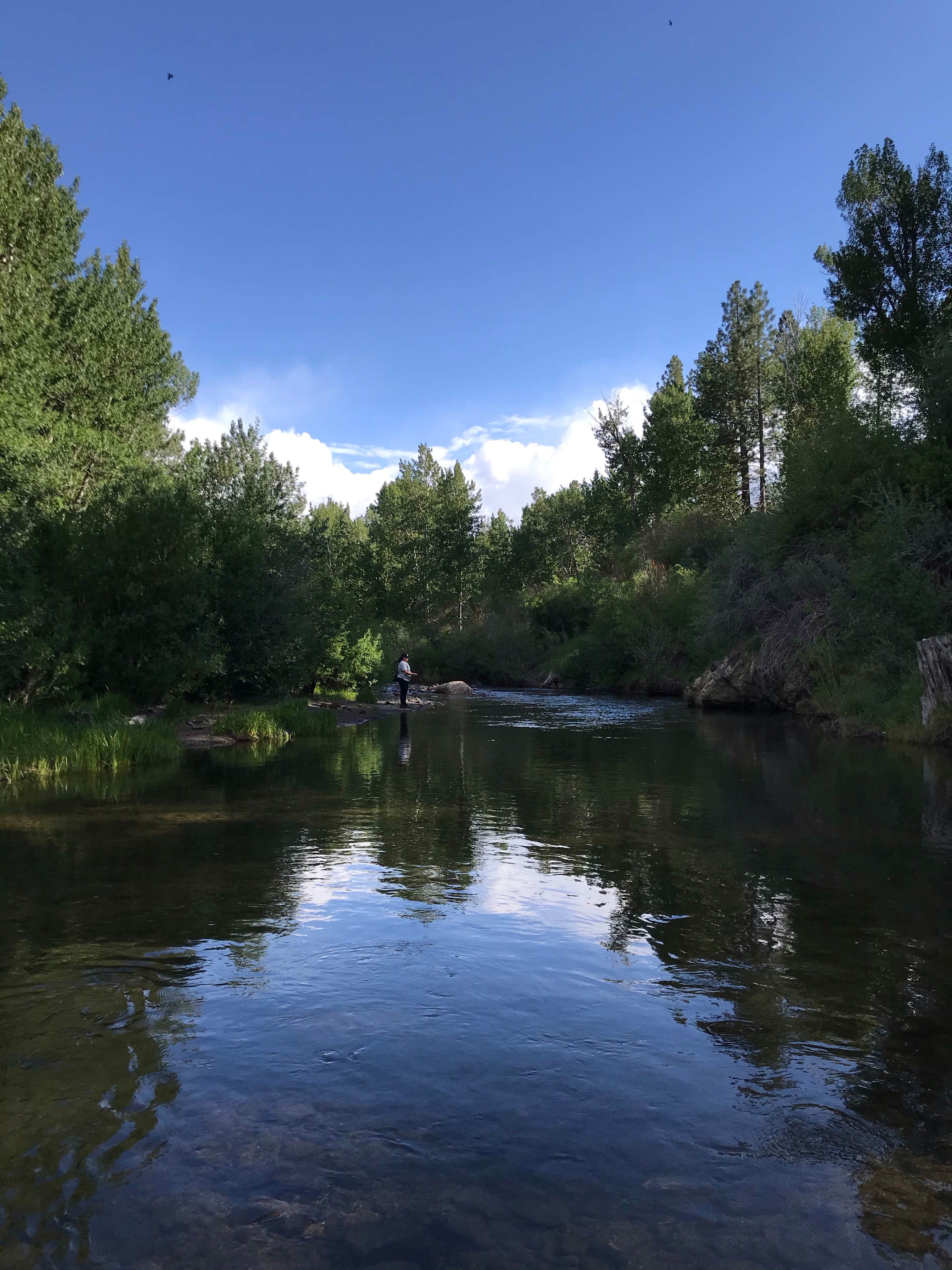 Camper-submitted photo at Markleeville Campground - Temporarily Closed near South Lake Tahoe, CA