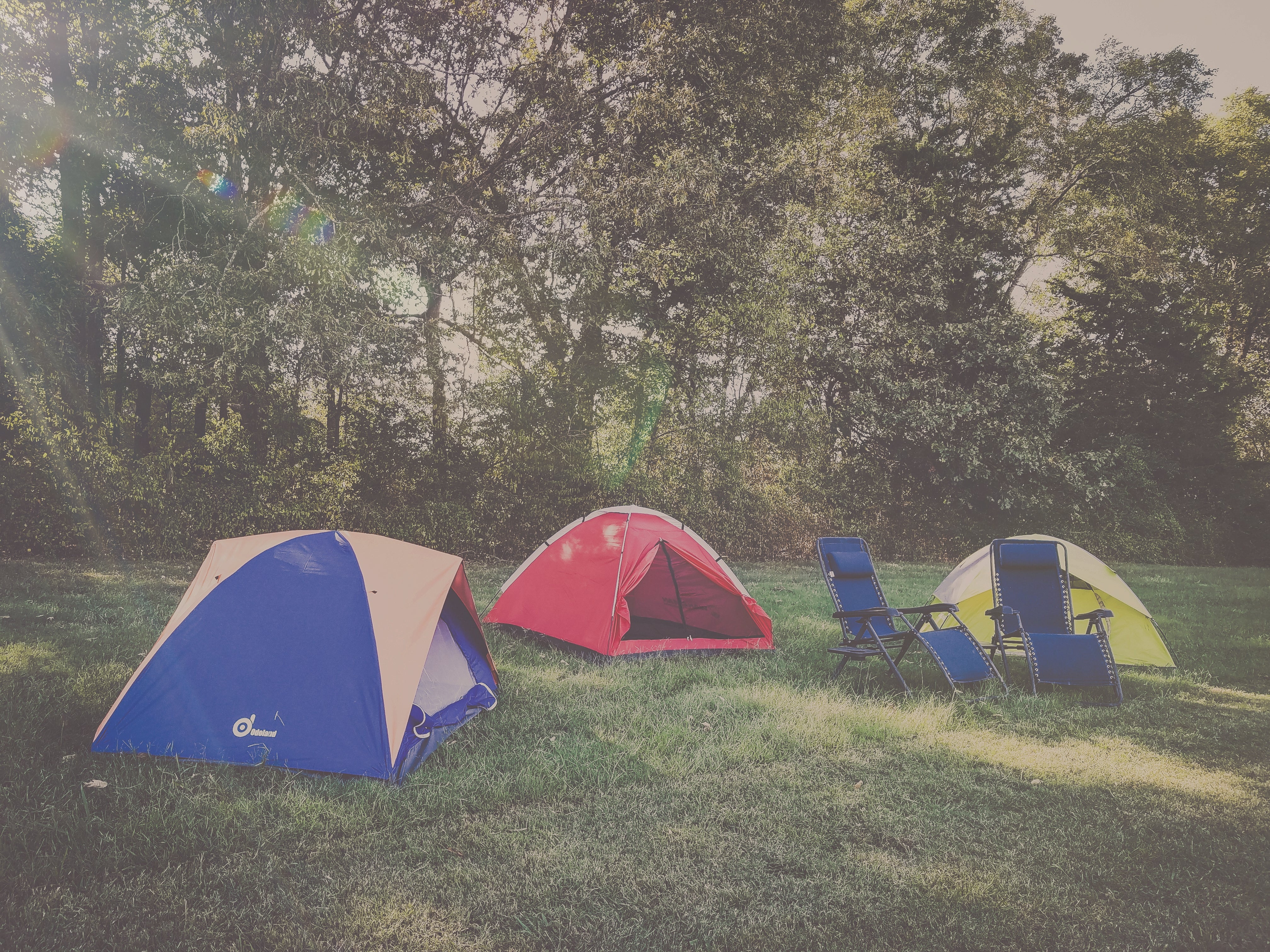 Campsites are located in a tree-lined open field with access to restroom and shower facilities, potable water, and an electric plug for cell phone charging.