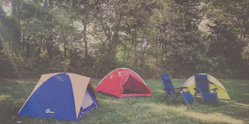 Camper submitted image from Stillwaters Farm Rustic Campsites