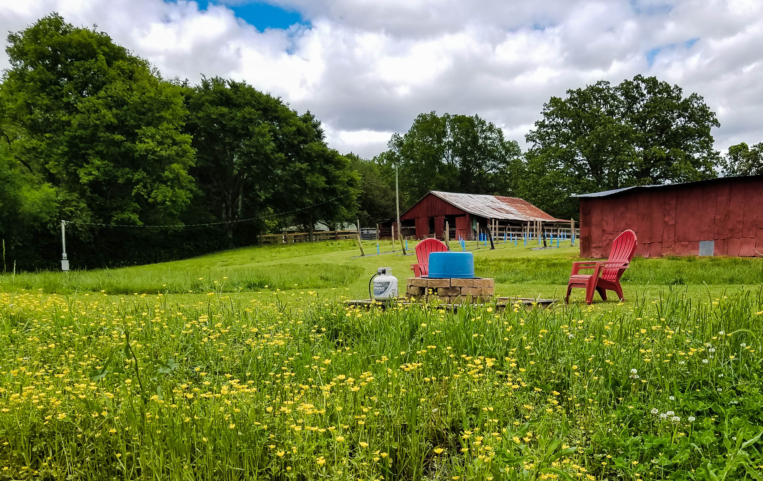 Camper submitted image from Stillwaters Farm Rustic Campsites - 3