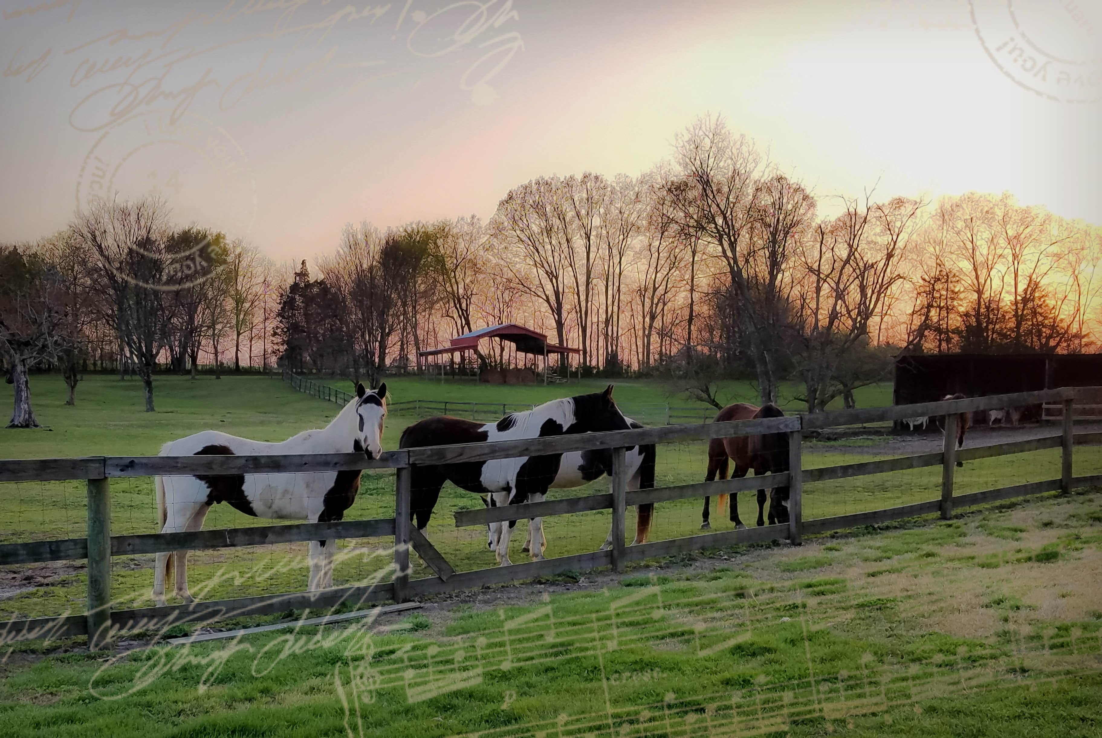 Camper-submitted photo at Stillwaters Farm Rustic Campsites near Pinson, TN