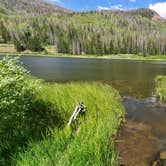 Review photo of Tucker Ponds Campground by Karylee H., June 16, 2020