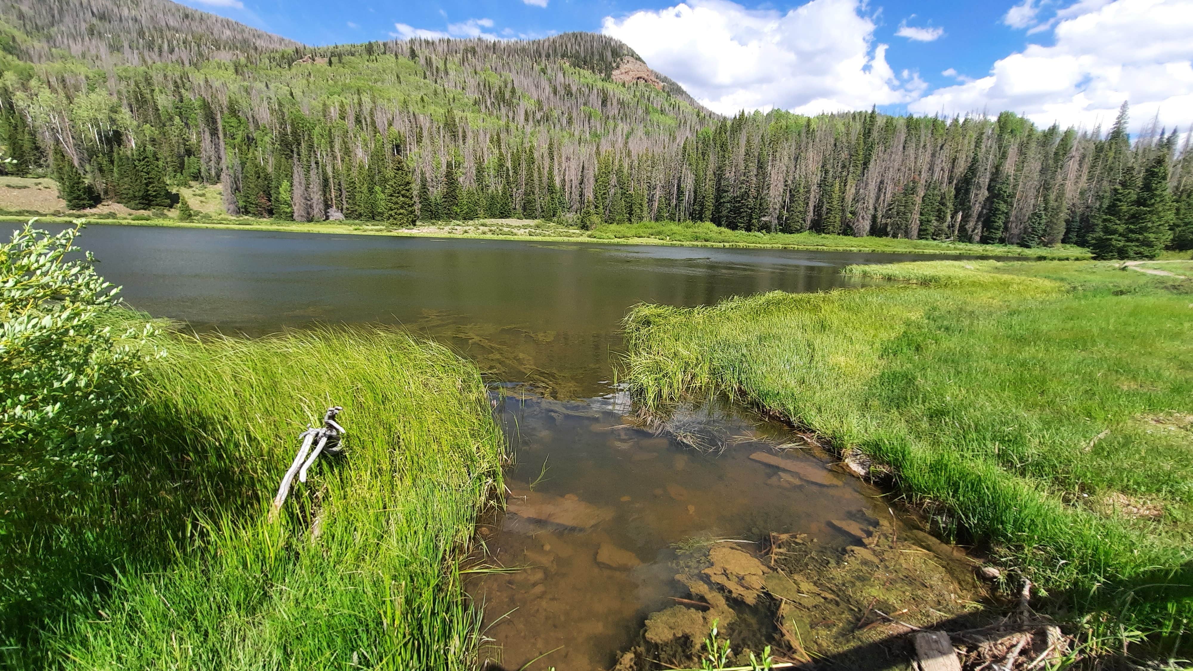 Camper submitted image from Tucker Ponds Campground - 3