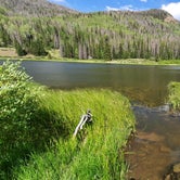 Review photo of Tucker Ponds Campground by Karylee H., June 16, 2020