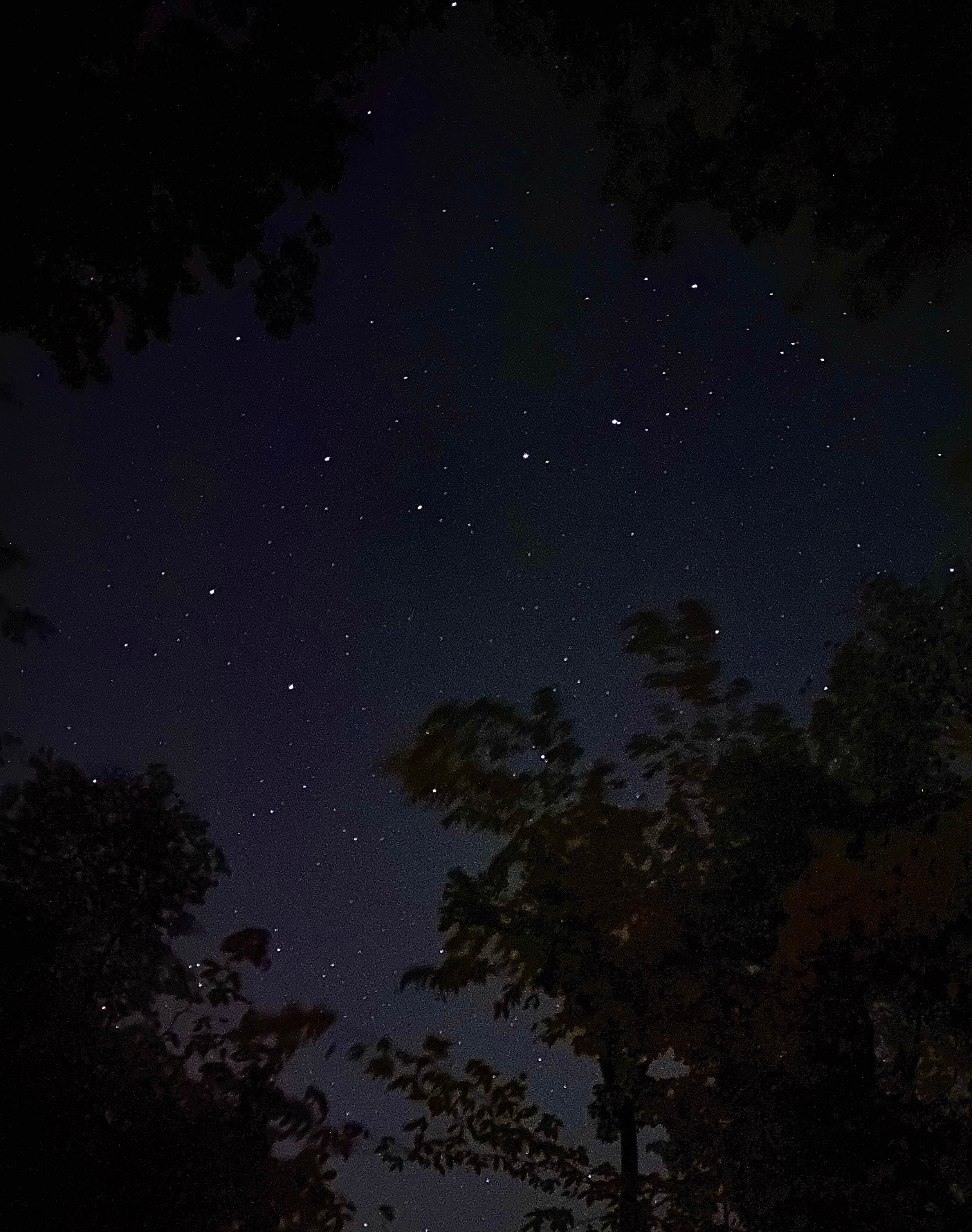 Camper submitted image from Penitentiary Glen Reservation Campsite - 2