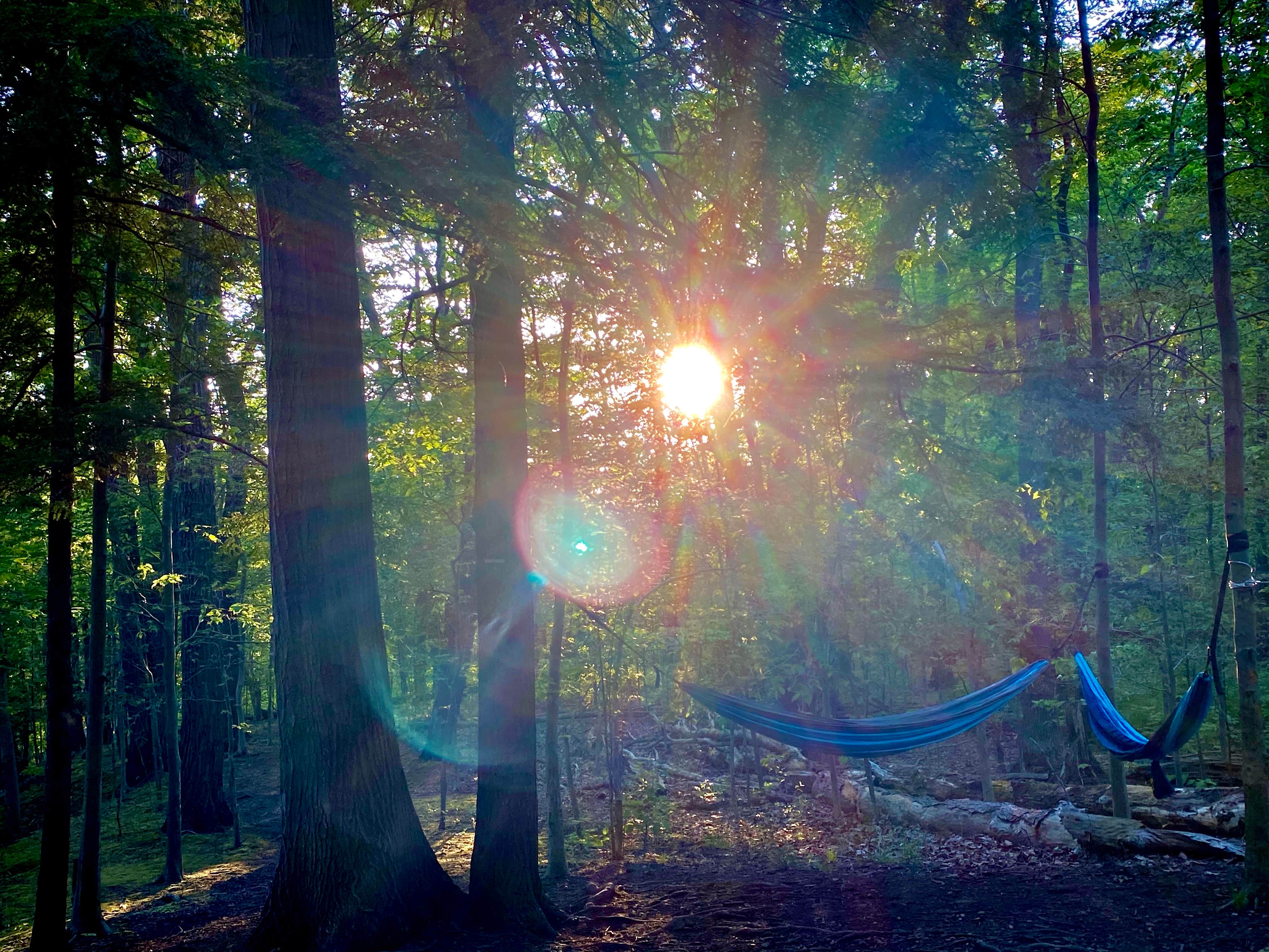 Camper submitted image from Penitentiary Glen Reservation Campsite - 3