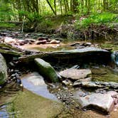 Review photo of Penitentiary Glen Reservation Campsite by Jillian E., June 17, 2020