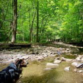 Review photo of Penitentiary Glen Reservation Campsite by Jillian E., June 17, 2020