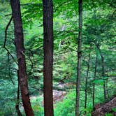 Review photo of Penitentiary Glen Reservation Campsite by Jillian E., June 17, 2020