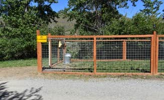 Cindy R.'s photo of camping with pets at Winthrop/N. Cascades National Park KOA Holiday near Lake Chelan National Recreation Area
