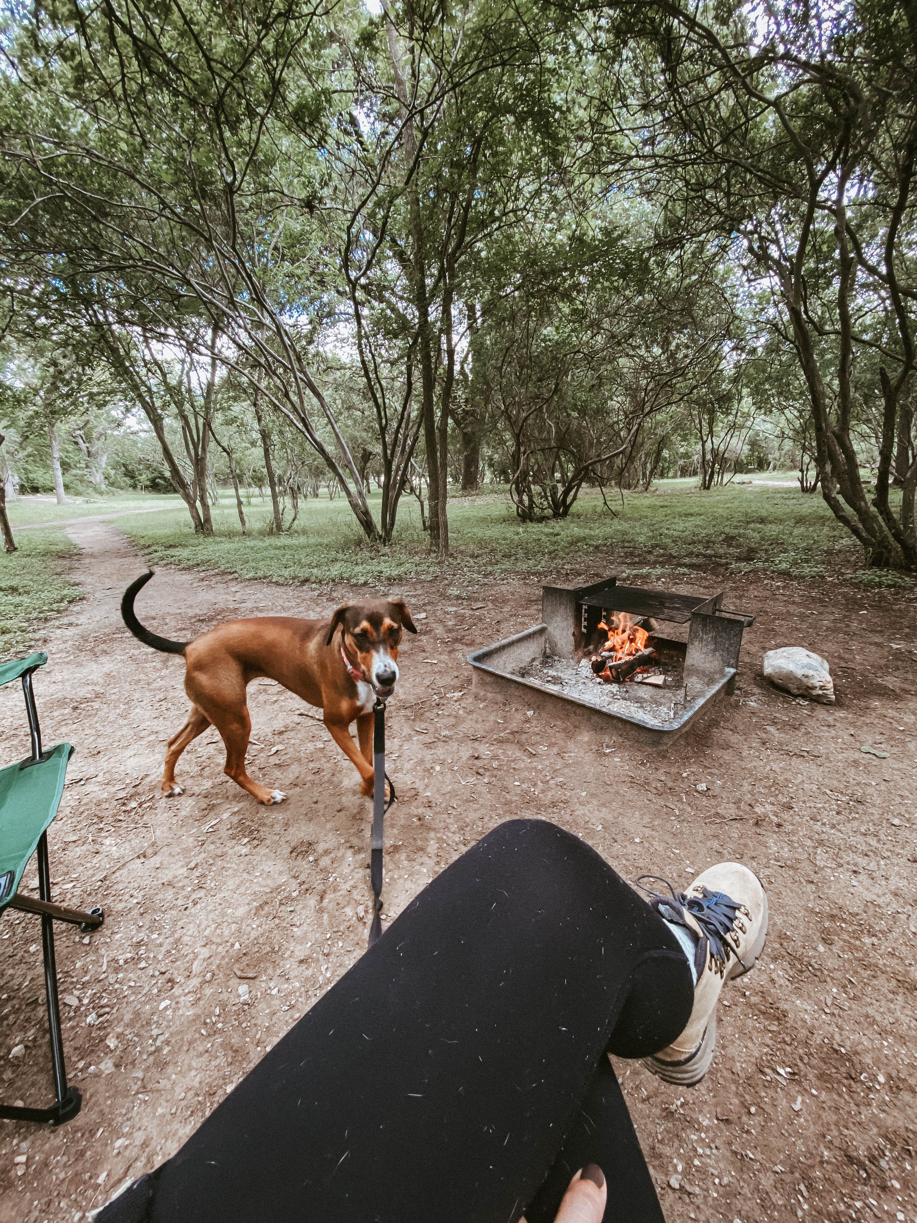 Amanda + Will's photo of camping with pets at Guadalupe River RV Park and Campgrounds near Boerne, TX