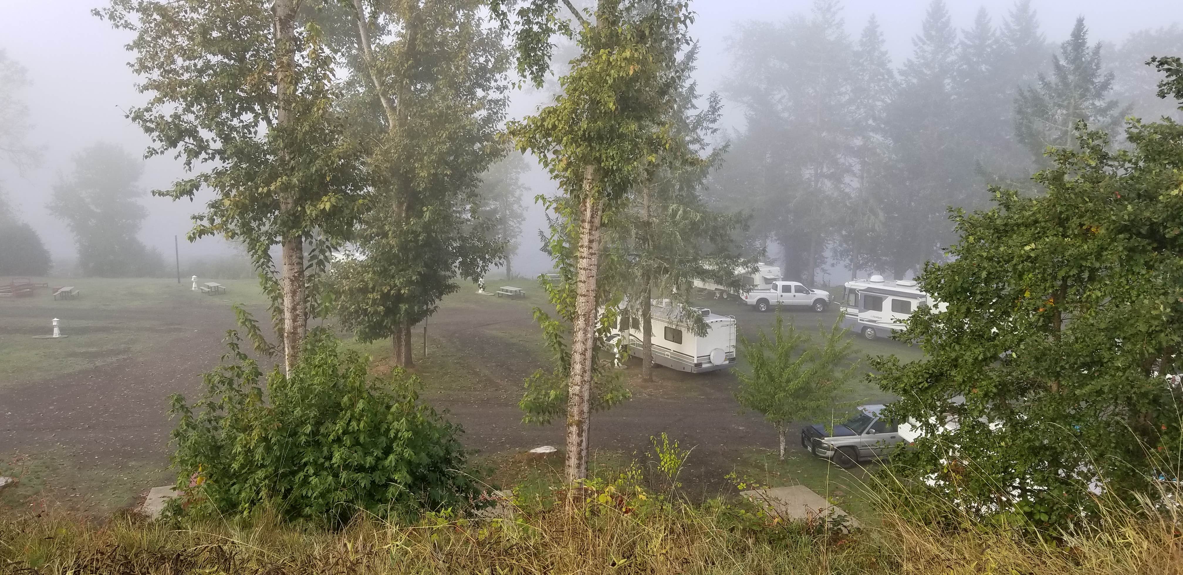 Camper submitted image from Elkton RV Park - 3
