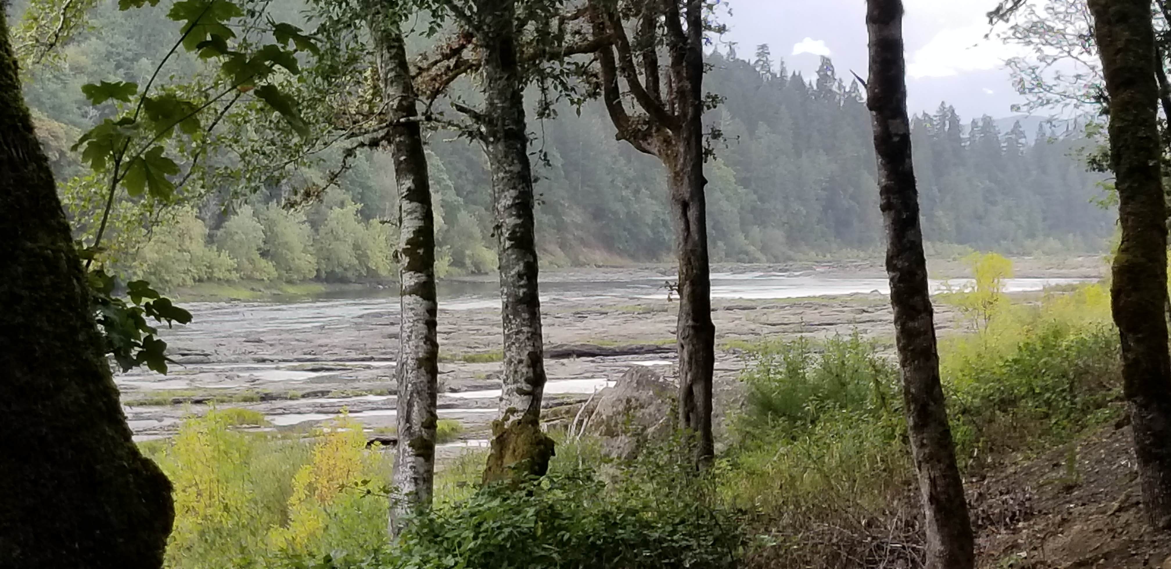 Camper-submitted photo at Sawyers Rapids RV Resort near Lorane, OR