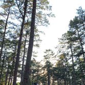 Review photo of Petit Jean State Park — Petit Jean State Park by Ryan S., June 17, 2020