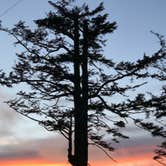 Review photo of Cape Lookout State Park Campground by Blaine B., June 14, 2020