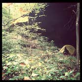 Review photo of Zaleski State Forest by Lindsay B., May 5, 2015
