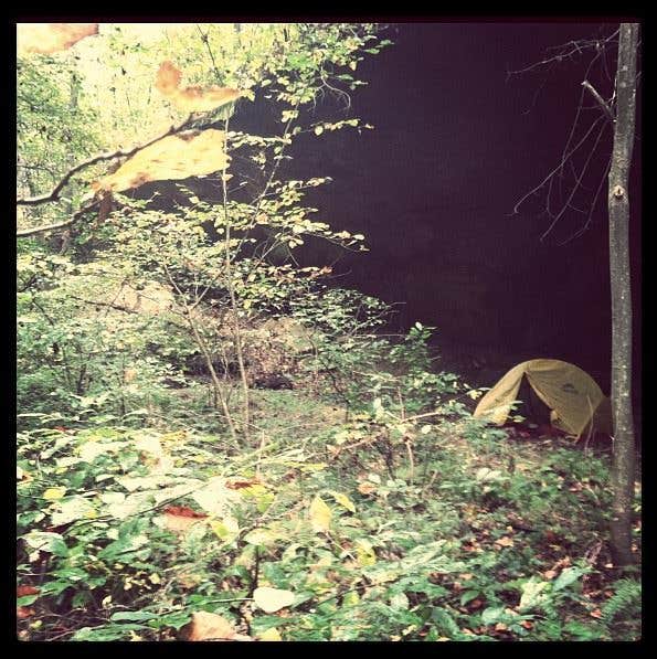 Camper submitted image from Zaleski State Forest - 4