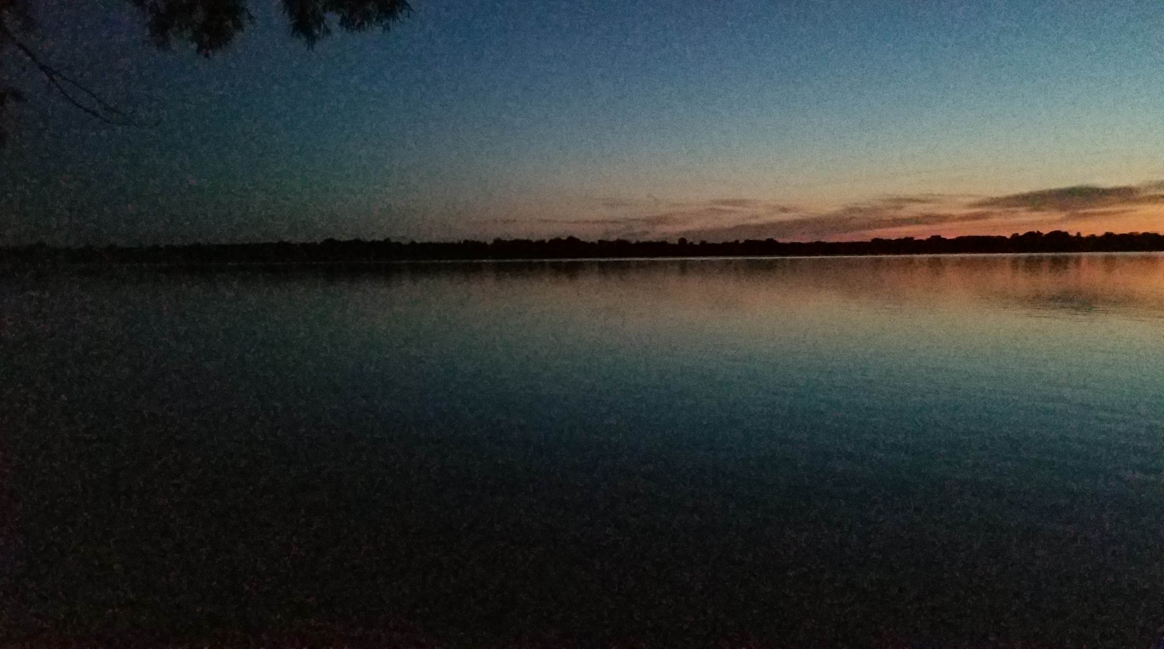 View All