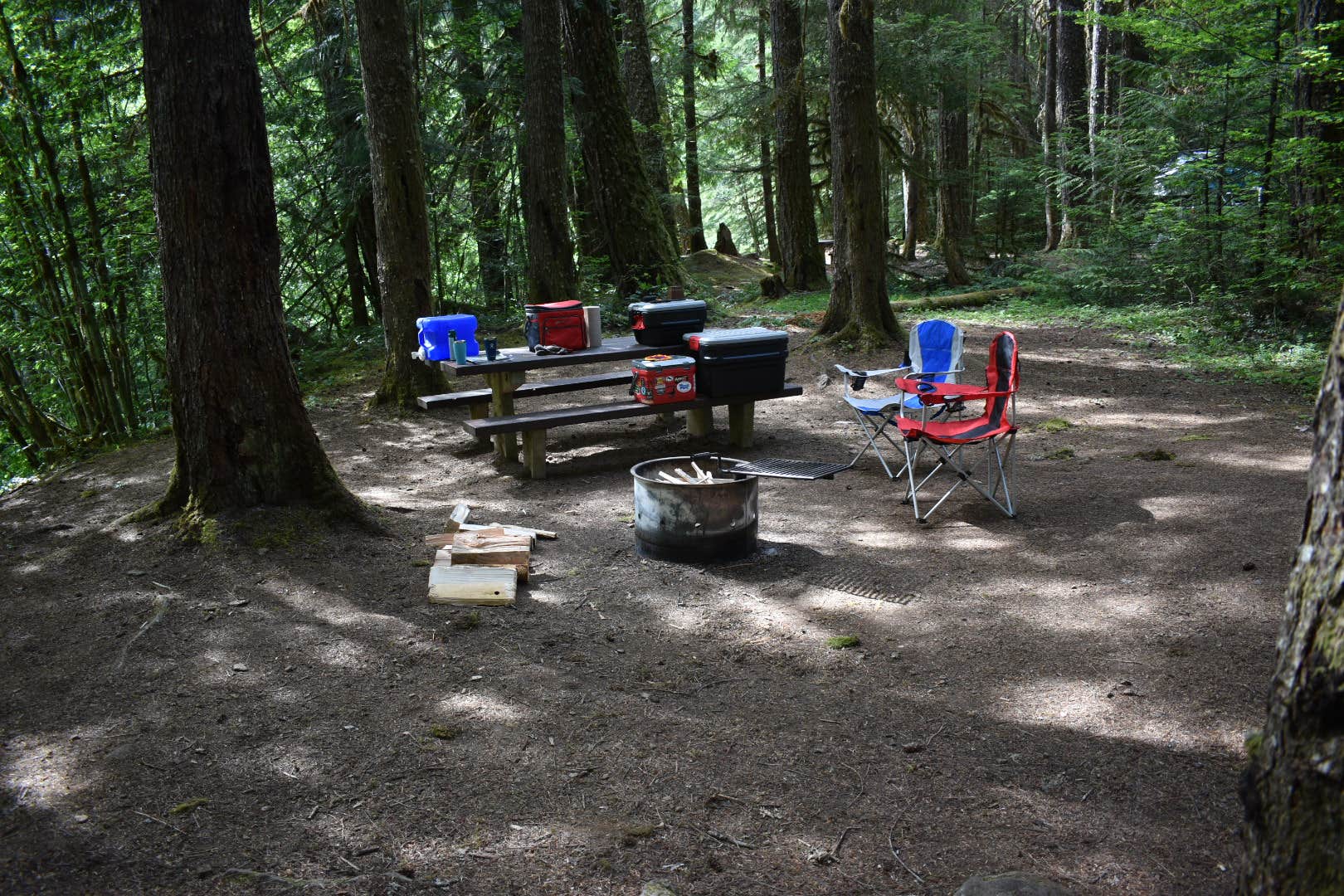 Camper submitted image from Riverside at Detroit Campground - 4