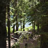 Review photo of Hideaway Lake Campground - Mt. Hood National Forest by Pat S., June 17, 2020